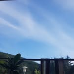 Frederick hodges - @frederickhodges486 - Instagram