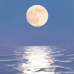 Frederick Hoffman - @frederick.hoffman.52 - Instagram