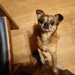 Frederick Holman - @holmanfrederick - Instagram