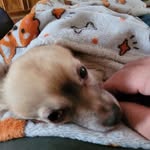 Frederick Hoyt - @frederickhoyt - Instagram