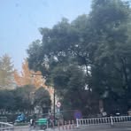 Frederick  Hsu - Facebook