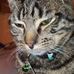 Jamison Frederick - Facebook