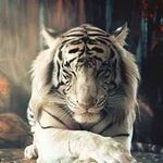 Frederick Jansen - @frederick.jansen.35 - Instagram