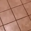 frederickjeffery11 - @frederickjeffery1 - TikTok