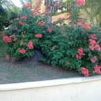 Frederick Jolicoeur - Facebook