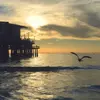 Kingston Frederick - @kingstonfrederick733 - TikTok