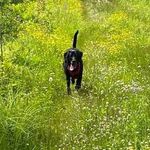 Frederick Klein - @frederick.klein.98 - Instagram