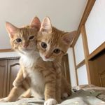 Frederick Klein Nerza Alvarez - @frederickkleinalvarez - Instagram