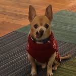 Laird Frederick Campbell - @thefredlet - Instagram