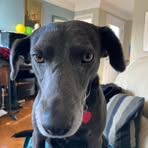 Frederick Lake - Facebook
