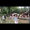 fredericaclapham - @fredericaclapham - TikTok