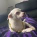 Frederick Laurin - Facebook