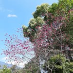 Frederick Liang - @frederick.liang.73 - Instagram