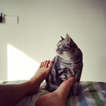 食草狼 - @frederick___lin - Instagram