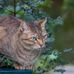Frederick Lin - Facebook