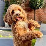 Ellen Lloyd Perry - @frederick_lloyd_perry - Instagram