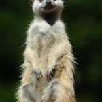 Frederick Lyon - @fredericklyon - Instagram