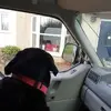 ericfrederickmann - @ericfrederickmann - TikTok