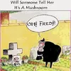Fred McCabe - @fredmccabe0 - TikTok