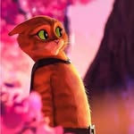 Fred McCauley - @frederickmc_436 - Instagram
