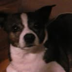 Fred McClanahan - Facebook