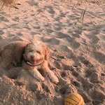 Frederick Mcconnell - @frederickmcconnell60 - Instagram