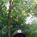 Freddie McCullough - Facebook