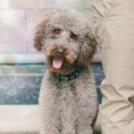 Walter McCullough - @walterfrederickmccullough - Instagram