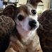 Fred Mcknight - Facebook