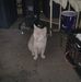 Frederick McKnight - Facebook