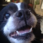 Frederick McNeil - @averageposts_person - Instagram