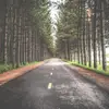 Frederick Melton - @frederickmelton103 - TikTok