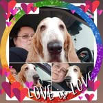 Lula Ann Frederick Mertens - @lulamertens1174 - Instagram