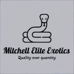 Frederick Mitchell - @mitchell_elite_exotics_ - Instagram
