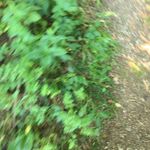 Frederick Mitchell - @frederick.mitchell.94043 - Instagram