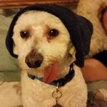 Frederick Mitchell - @mitchell.frederick - Instagram