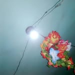 Frederick Monette - @monettefrederick - Instagram