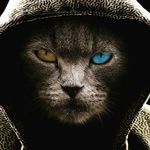 Frederick Monroe - @osoboroso - Instagram