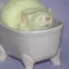 frederick moonchylde - @frederick_moonchylde - TikTok