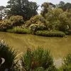 Frederick Morrisey - @frederick.morrise - TikTok