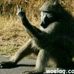 Frederick Nance - Facebook