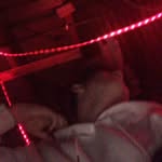 Frederick nault - @naultfrederick - Instagram