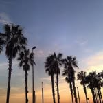 @frederick_neal - Instagram