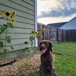 Frederick Neal - @tiptoe43 - Instagram