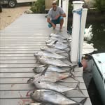 Frederick Neall - @frederickneall - Instagram