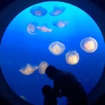 Frederick Ng - @frkng - Instagram