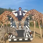 Frederick Ng - @frederick__ng - Instagram