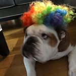 Dusty duncan - @frederick_noonan - Instagram