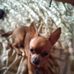 Fred Norris - Facebook