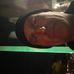 Freddie Oakes - Facebook